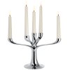 Svečnik za namizne sveče CANDELABRA, 30 cm, srebrna, Philippi