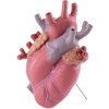 Vaza LOVE IN BLOOM, 25 cm, roza, Seletti