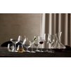 Kozarec za belo vino JUVEL, set 4 kosov, 380 ml, Lyngby Glas