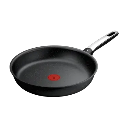 231055 panev expertise 28 cm titan tefal