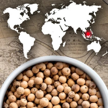 Weißer Pfeffer SARAWAK 4 x 20 g, Peugeot