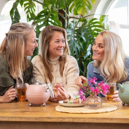 Teekanne DUET BELLA RONDE 1,2 l, rosa, edelstahl, Bredemeijer