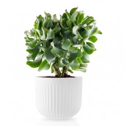 Blumentopf LEGIO NOVA 15,5 cm, weiß, Eva Solo