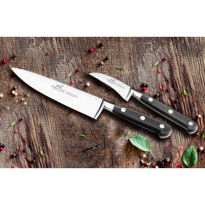 Messerblock BORNEO, mit IDÉAL-Messern, 6-teilig, Lion Sabatier