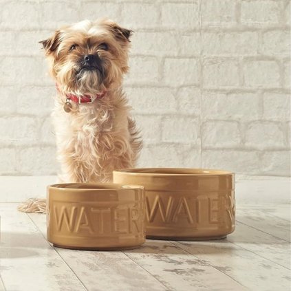 Hundenapf PETWARE CANE 20 cm, Zimt, Steingut, Mason Cash