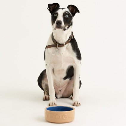 Hundenapf PETWARE CANE 18 cm, zimt/blau, Steingut, Mason Cash