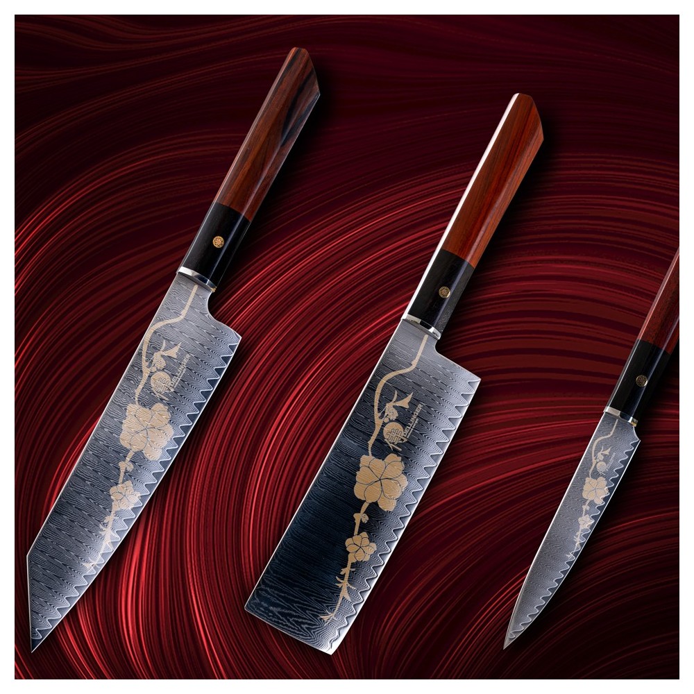 Japanisches Messer Set JOSHI SAKURA, 4-teilig, mit Schleifstein, Geschenkbox, Dellinger