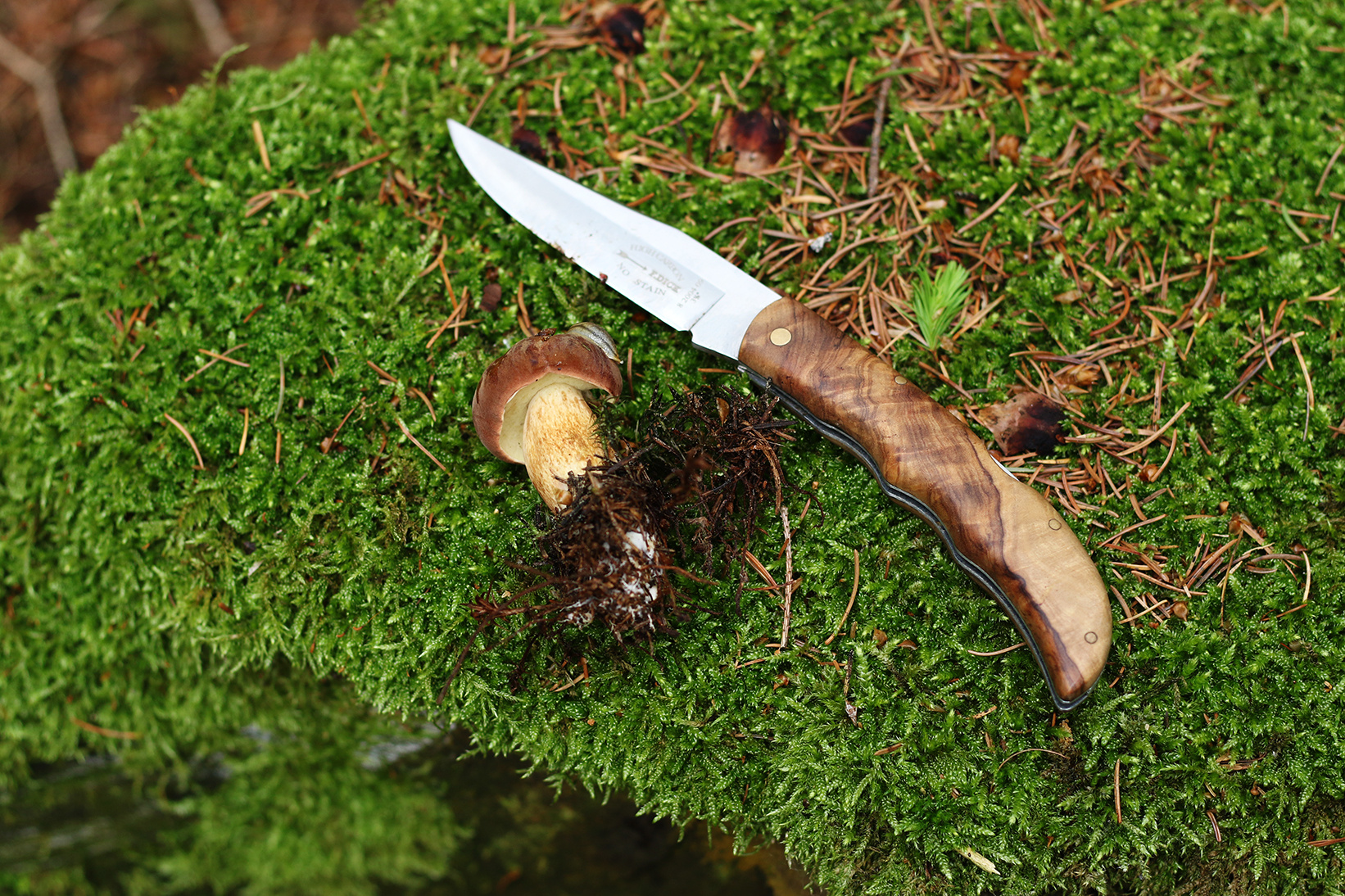 Taschenmesser 9 cm, F.Dick
