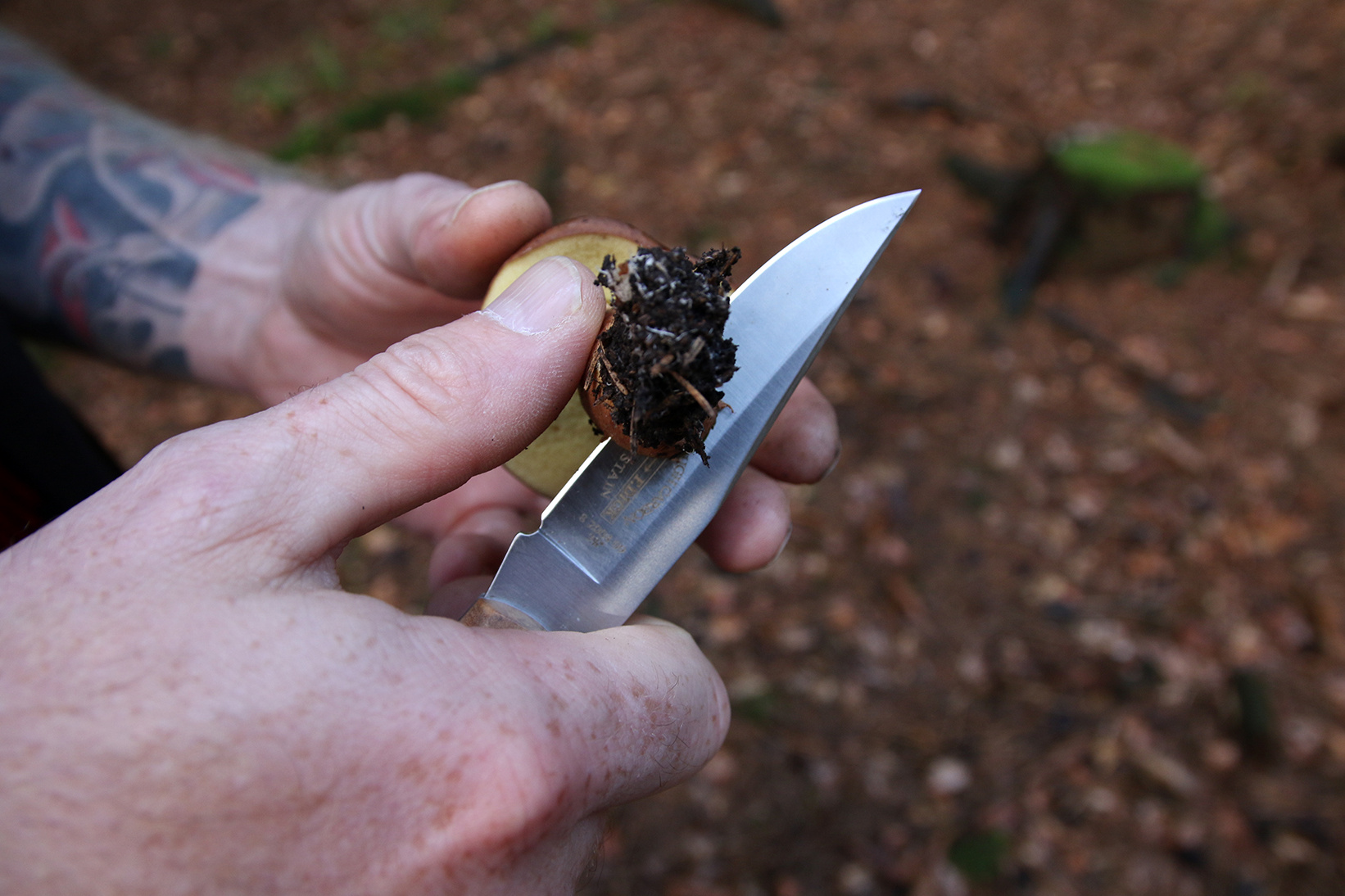 Taschenmesser 9 cm, F.Dick