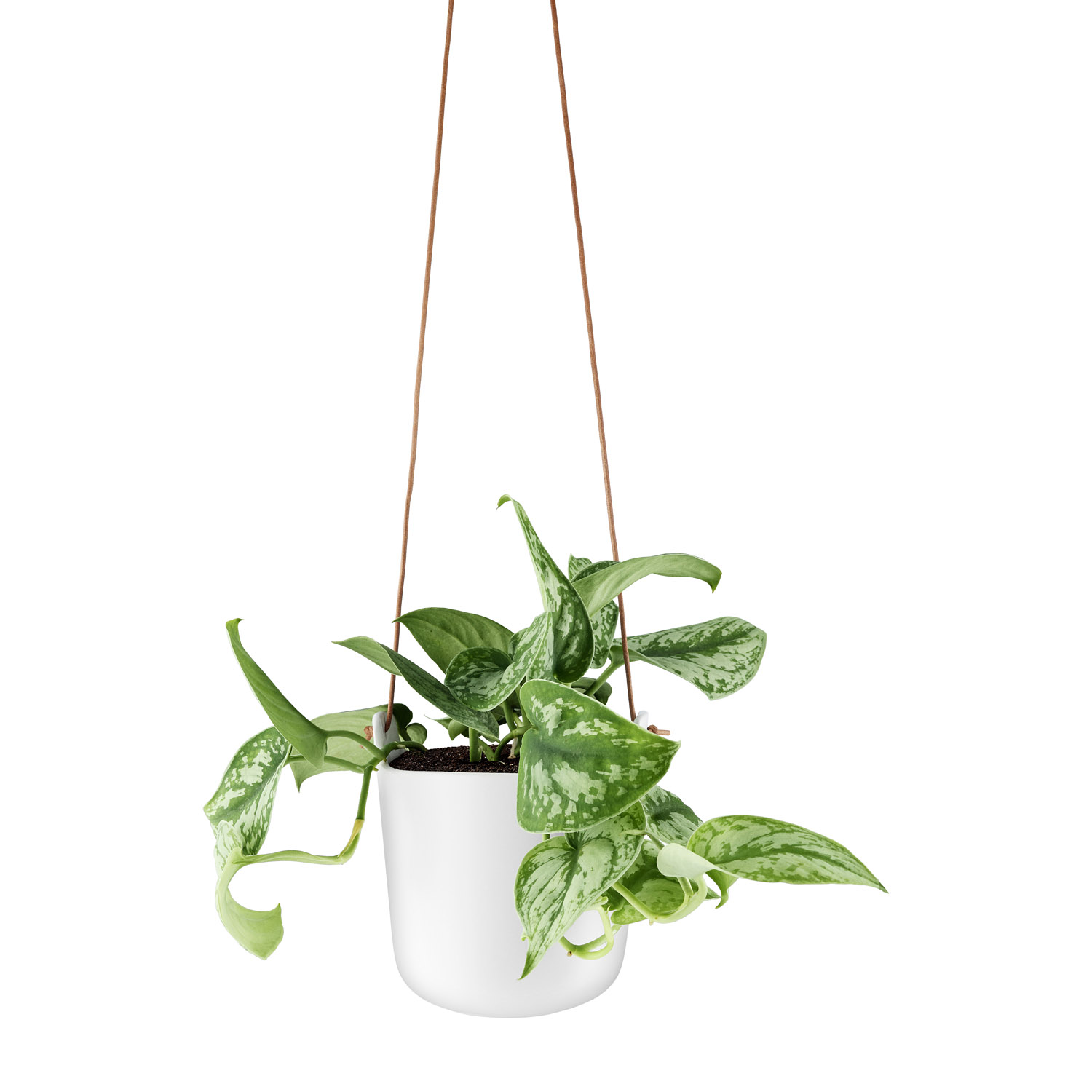 Selbstbewässerung hängend Blumentopf kalkhaltig weiß o 15 cm Eva Solo