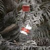 220466 5 lahev na vodu moomin 750 ml bila tritan rig tig