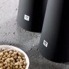 Pfeffermühle SPICES, schwarz, Zwilling