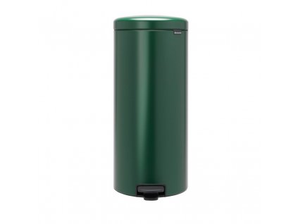 Pedaaliga prügikast NEWICON 30 l, roheline, Brabantia