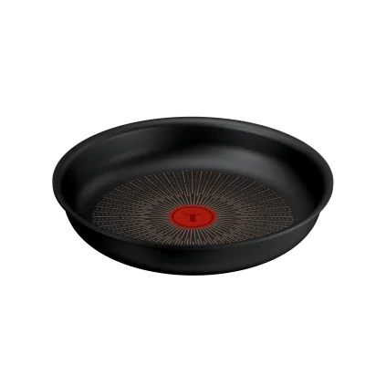 231076 panev ingenio excellence fusion 24 cm titan tefal