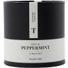 Roheline tee PEPPERMINT, purutee, 100 g, Nicolas Vahé