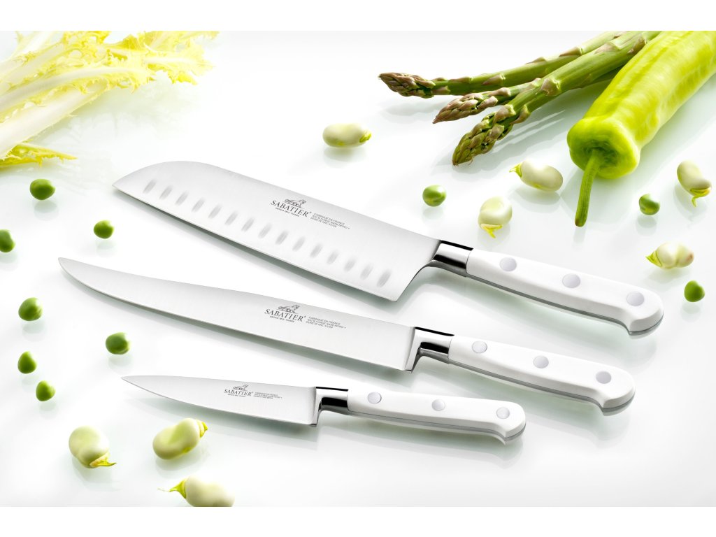 Knivset TOQUE EXOTIQUE, set i 2, nitar i rostfritt stål, Lion Sabatier