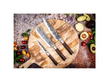 Knivset SEBRA, 3 st, Forged
