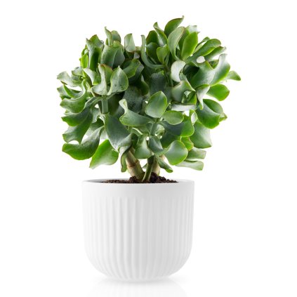 Blomkruka LEGIO NOVA 15,5 cm, vit, Eva Solo