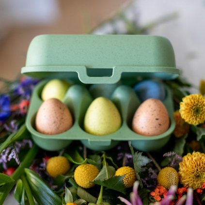Ägglåda EGGS TO GO MINI 17 cm, för 6 ägg, bladgrön, Koziol