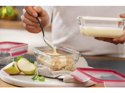 Matförvaringsbehållare MASTER SEAL GLASS N1040510 450 ml, Tefal