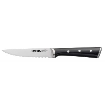 Stekkniv ICE FORCE K232S414, set i 4 delar, Tefal
