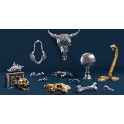 Figur WUNDERKAMMER SHELL 23 cm, silver, aluminium, Seletti