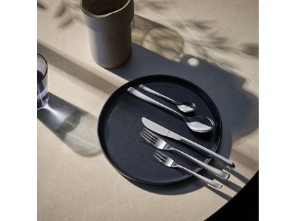 Bestickset VISION, set i 66 delar, rostfritt stål, WMF