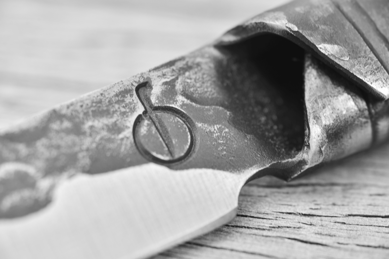 Filékniv BRUTE 20,5 cm, Forged