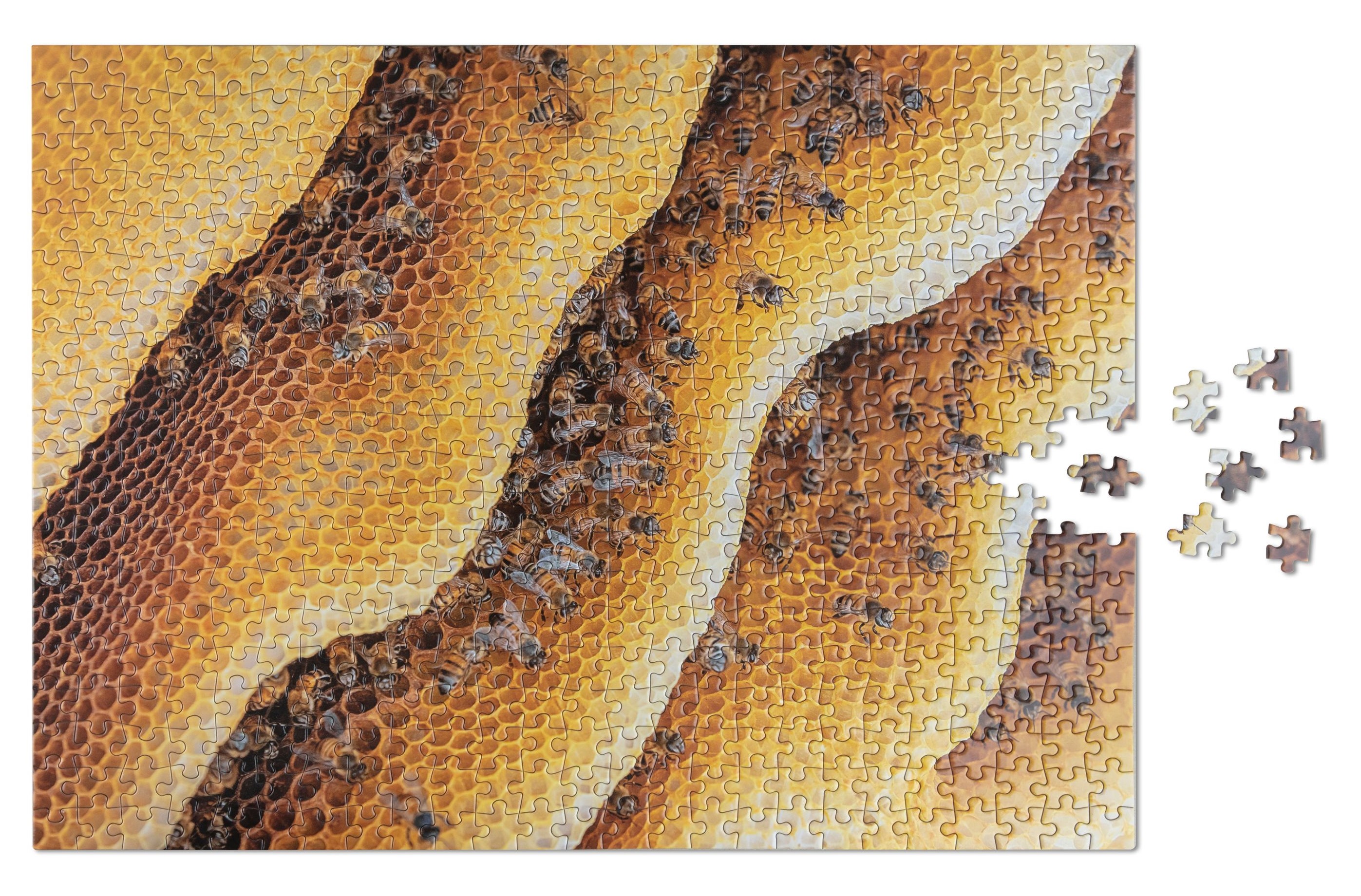 Pussel WILDIFE PATTERNS BEE, 500 st, Printworks