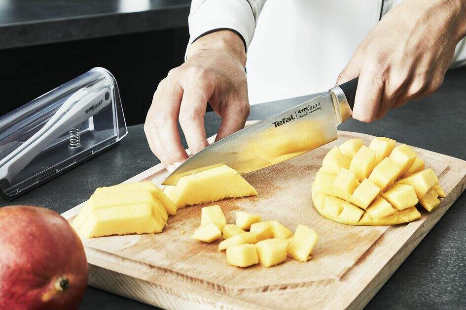 Universalkniv EVER SHARP 16,5 cm, Tefal