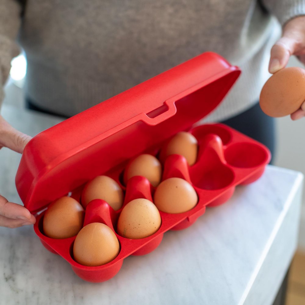 Äggbehållare EGGS TO GO 28 cm, för 10 ägg, ekologisk röd, Koziol