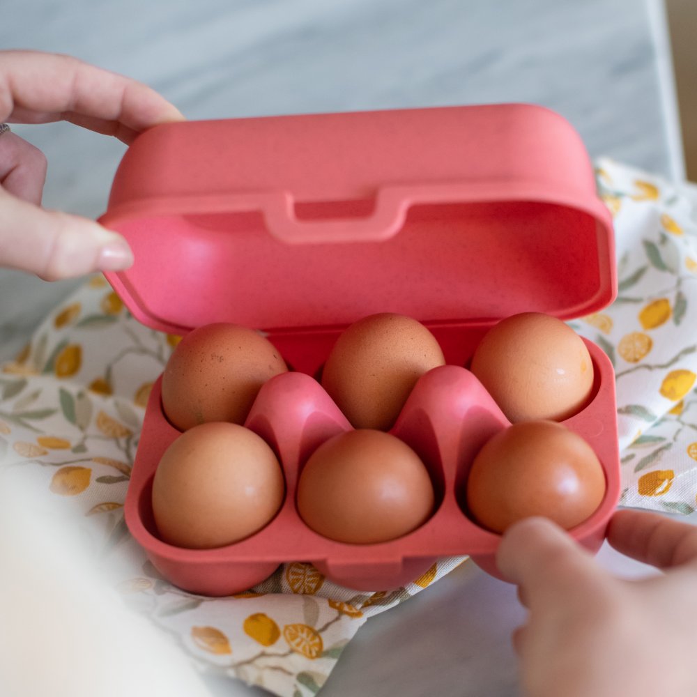 Äggbehållare EGGS TO GO MINI 17 cm, för 6 ägg, korall, Koziol