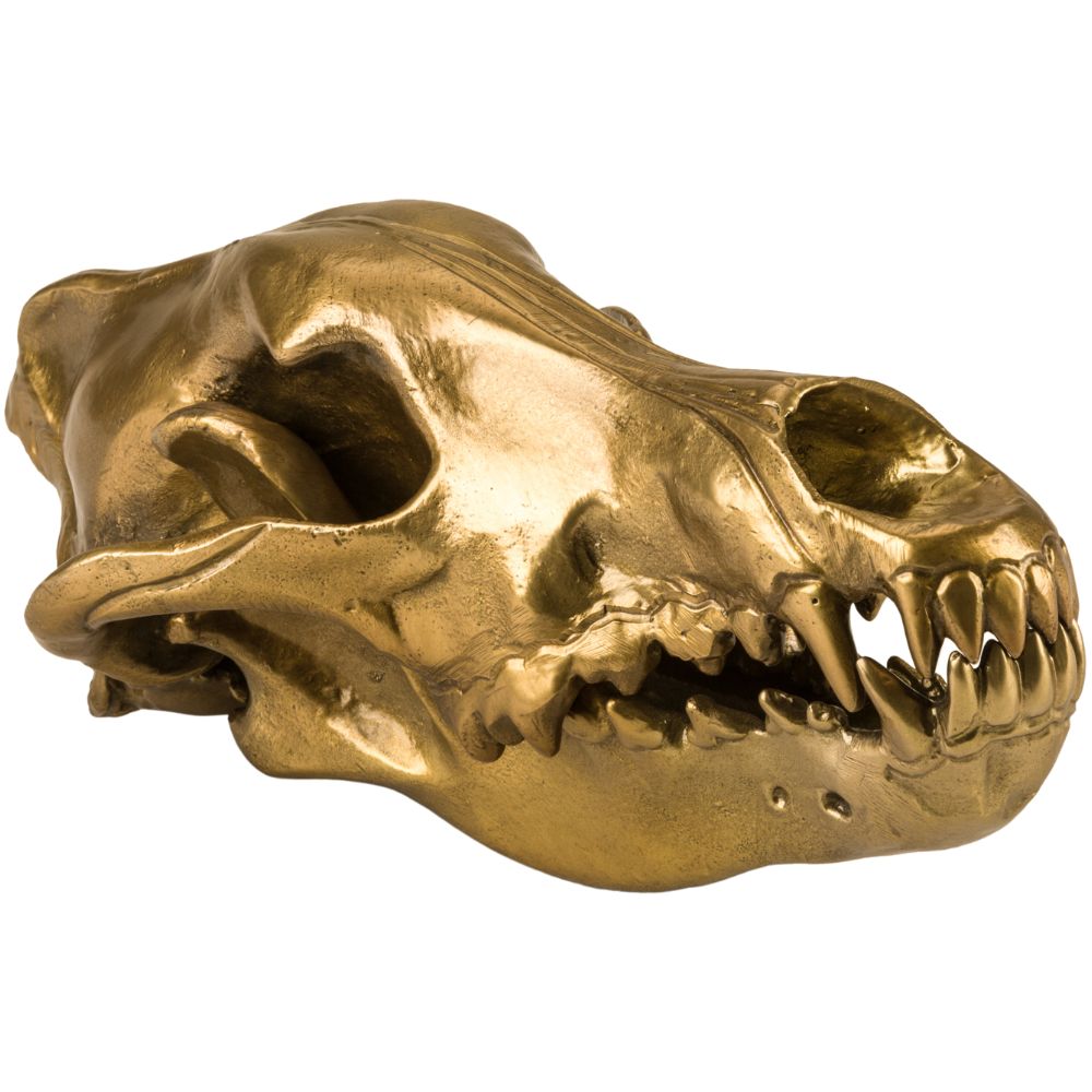 Figur WUNDERKAMMER WOLF SKULL 28 cm, silver, aluminium, Seletti