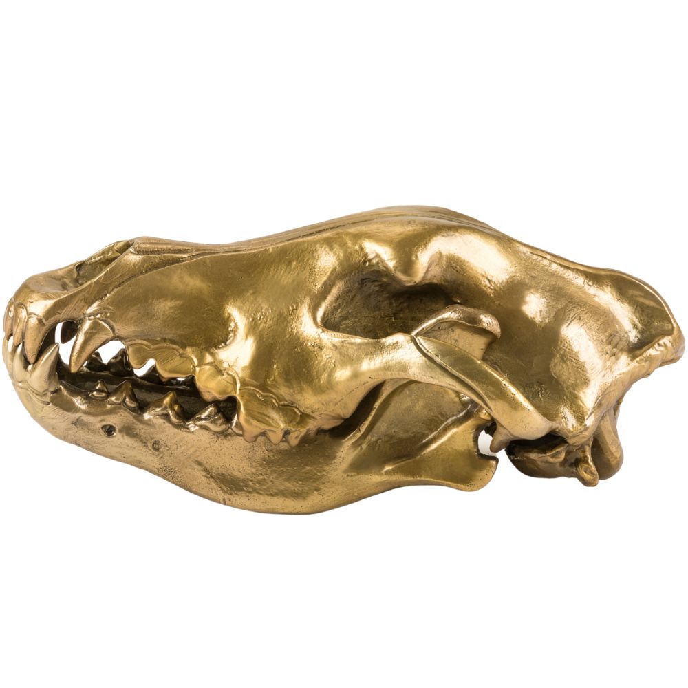 Figur WUNDERKAMMER WOLF SKULL 28 cm, silver, aluminium, Seletti