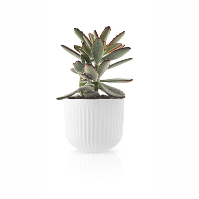 Blomkruka LEGIO NOVA 13 cm, vit, Eva Solo