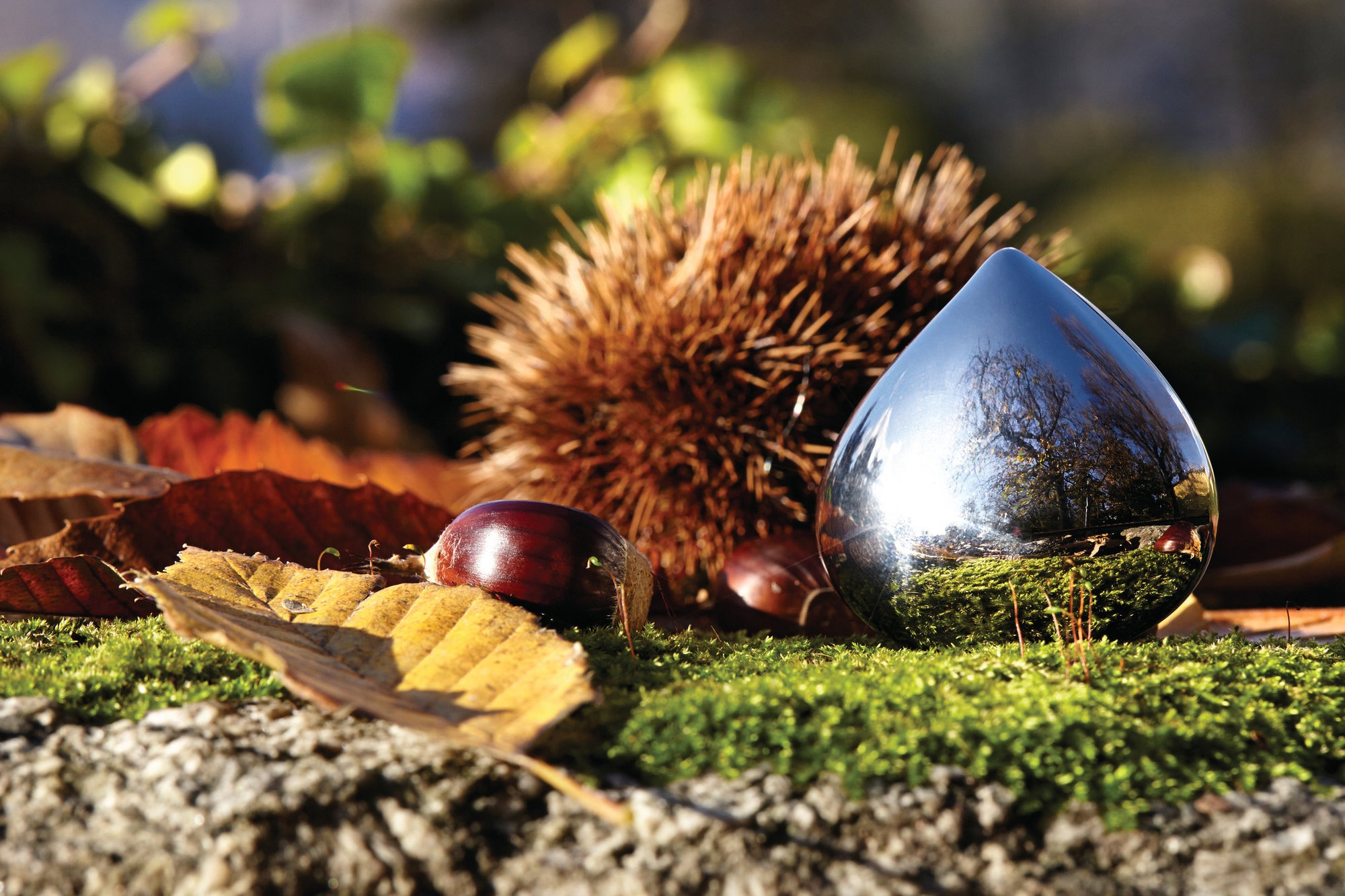 Pillerask CHESTNUT, Alessi