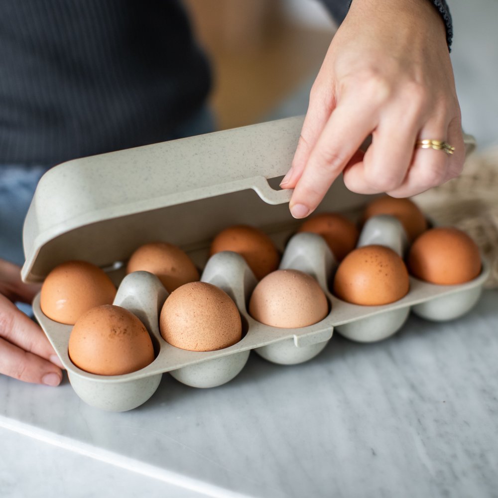 Äggbehållare EGGS TO GO 28 cm, för 10 ägg, bladgrön, Koziol