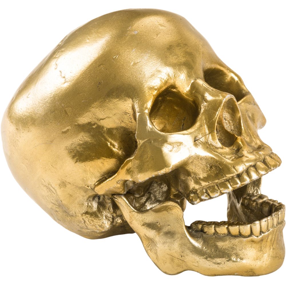 Figur WUNDERKAMMER HUMAN SKULL 20 cm, silver, aluminium, Seletti