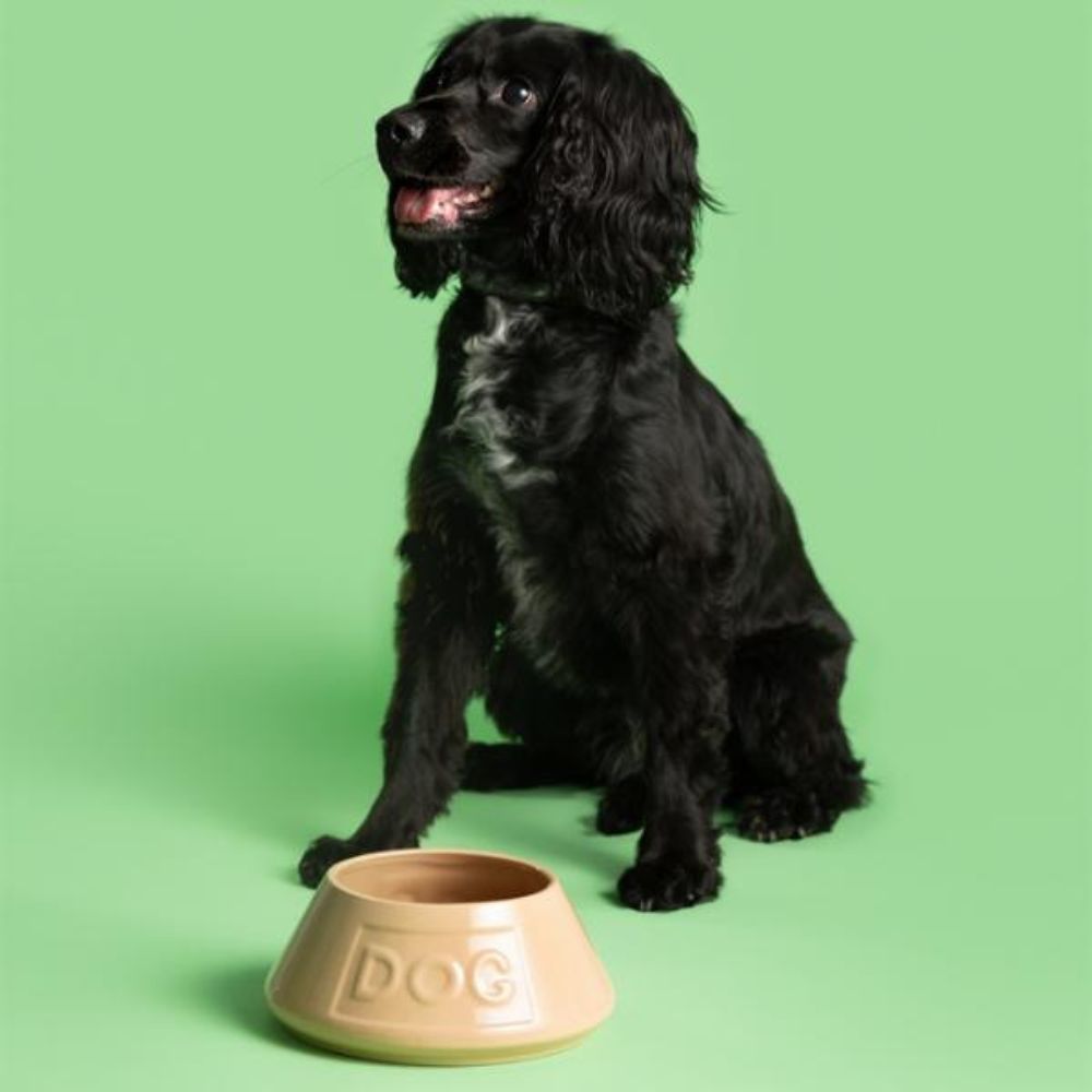 Hundskål NON TIP 21 cm, kanel, stengods, Mason Cash