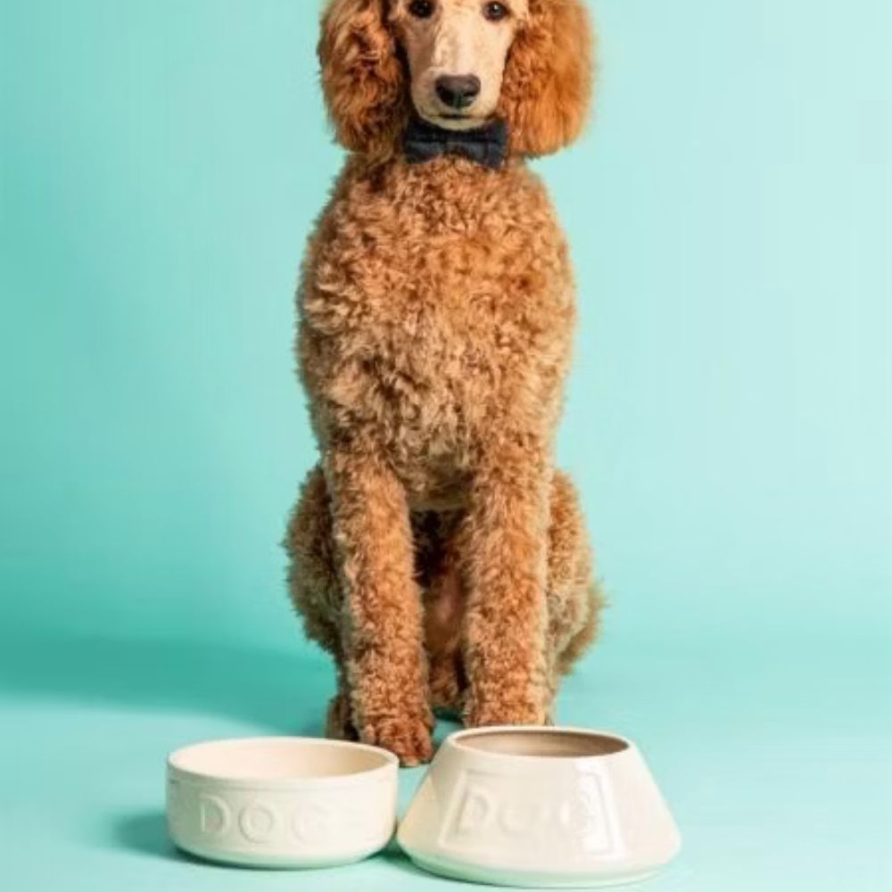 Hundskål NON TIP 21 cm, grå, stengods, Mason Cash