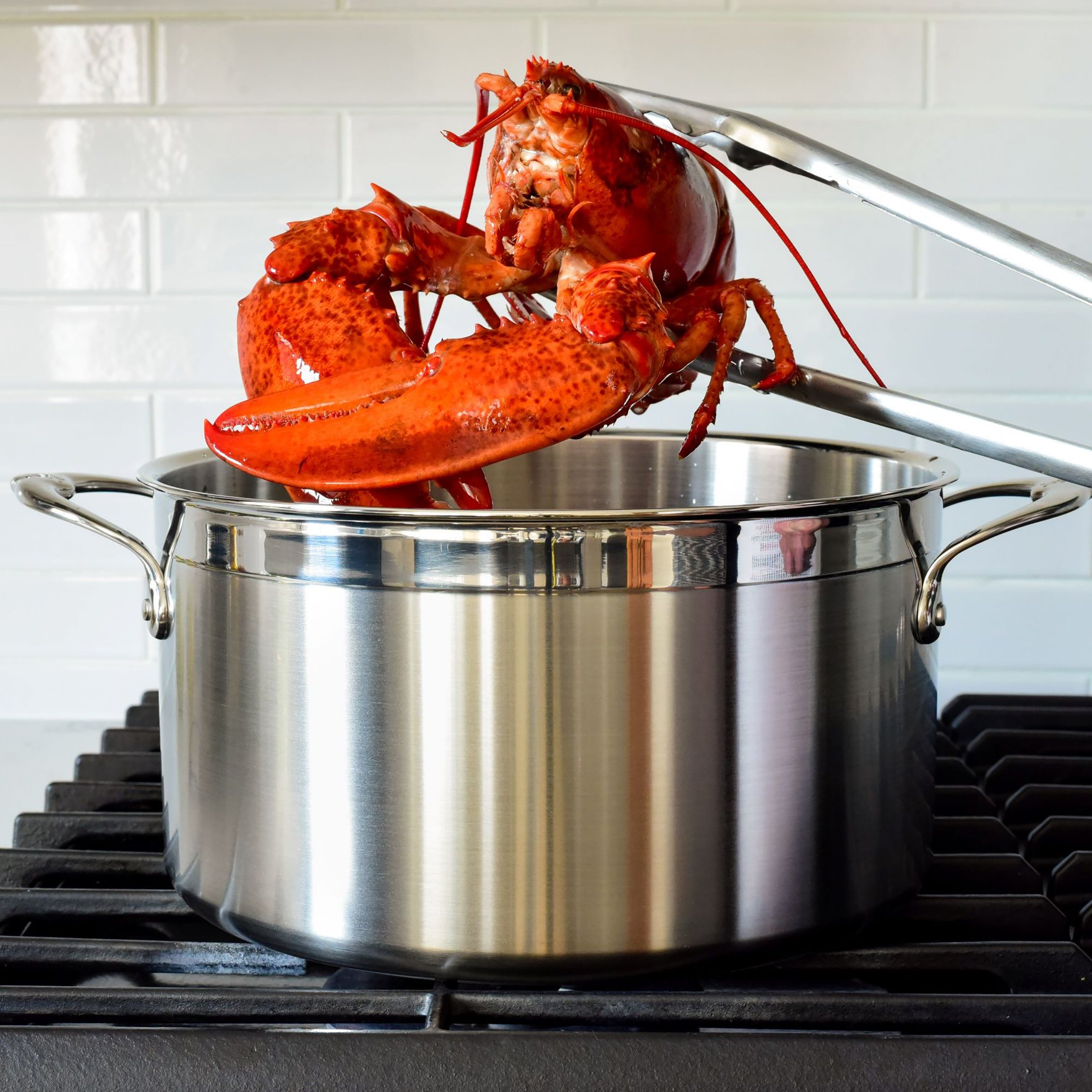Kokgryta PROBOND 26 cm, 7,6 l, rostfritt stål, Hestan