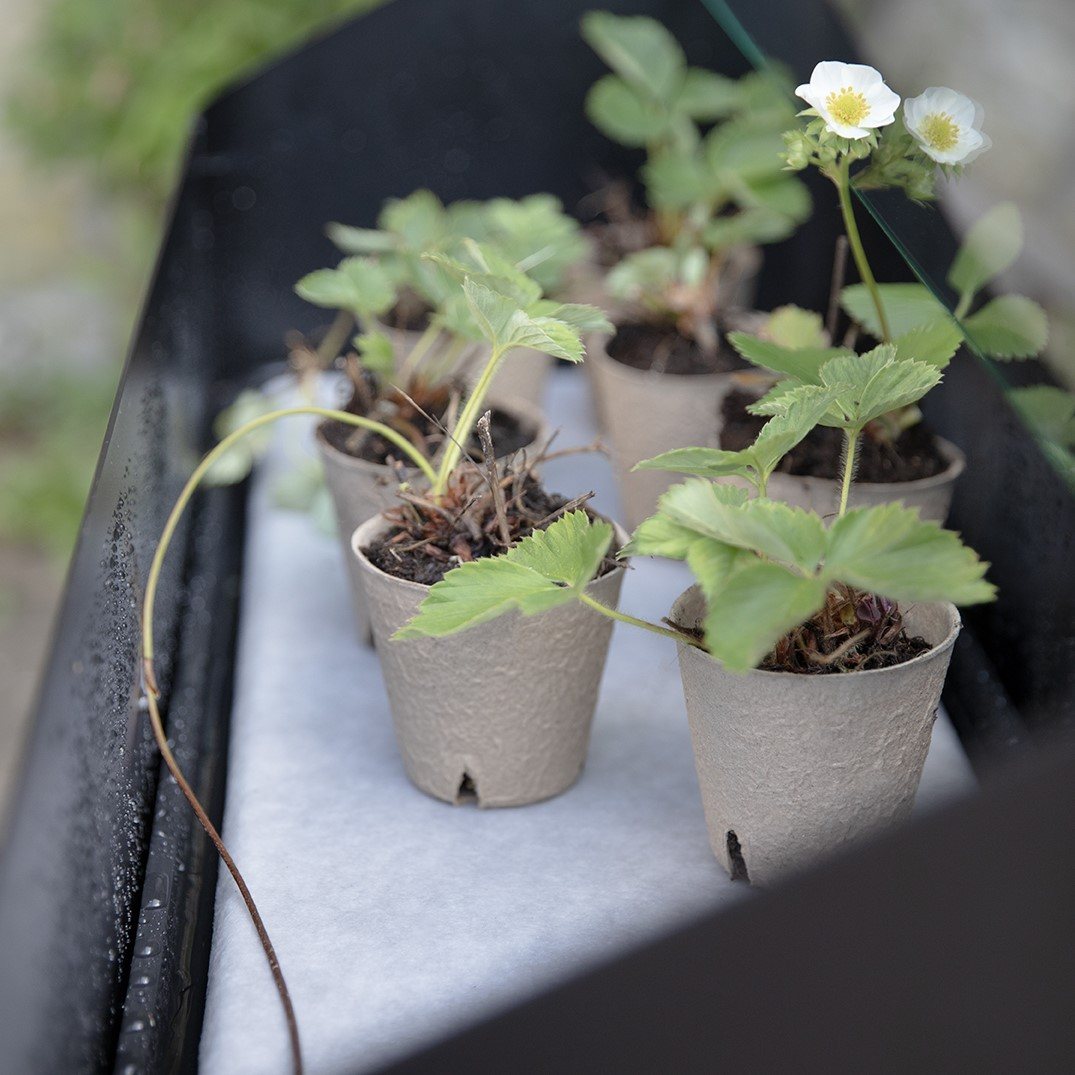 218114 6 stojan na kvetiny simply grow 80 x 63 cm cerna ocel eva solo