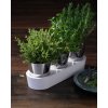 Självvattnande blomkruka GOURMET HERB GARDEN, set i 3 delar, WMF