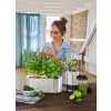 Självvattnande blomkruka GOURMET HERB GARDEN, set i 3 delar, WMF