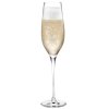 Champagneglas CABERNET, set i 6 delar, 290 ml, Holmegaard