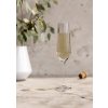 Champagneglas LEGIO NOVA, set i 6 delar, 260 ml, Eva Solo