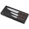 Knivset PHENIX INOX CUISINE , set om 3, Lion Sabatier
