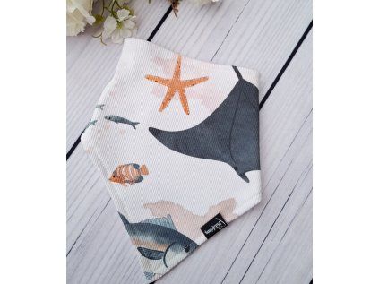 Slintáček RIB NEMO