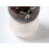 samozavlažovací květináč na orchideje autorská bytová dekorace ze sklářské dílny Kultivar