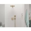 Hansgrohe Raindance E hlavová sprcha 300 1jet s ramenom, kartáčovaný bronz 26238140 www.kupelnashop.sk